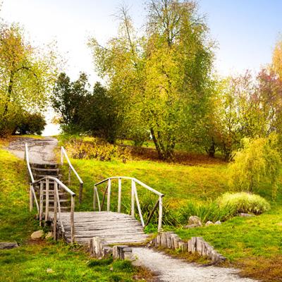 凤凰彩票手机app下载